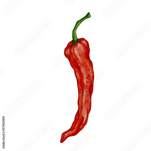 Colorful ripe hot chili pepper pod.Vector graphics.