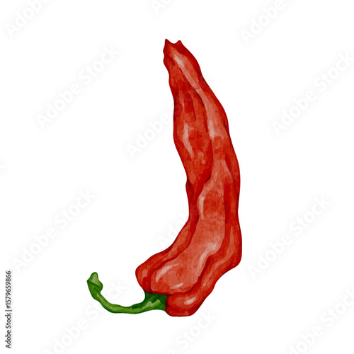 Colorful ripe hot chili pepper pod.Vector graphics.