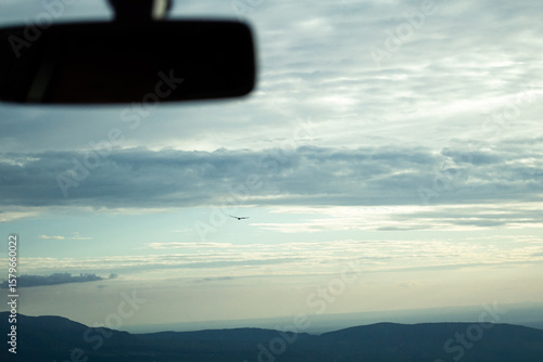 a condor flying over the mountains at sunset from inside a car