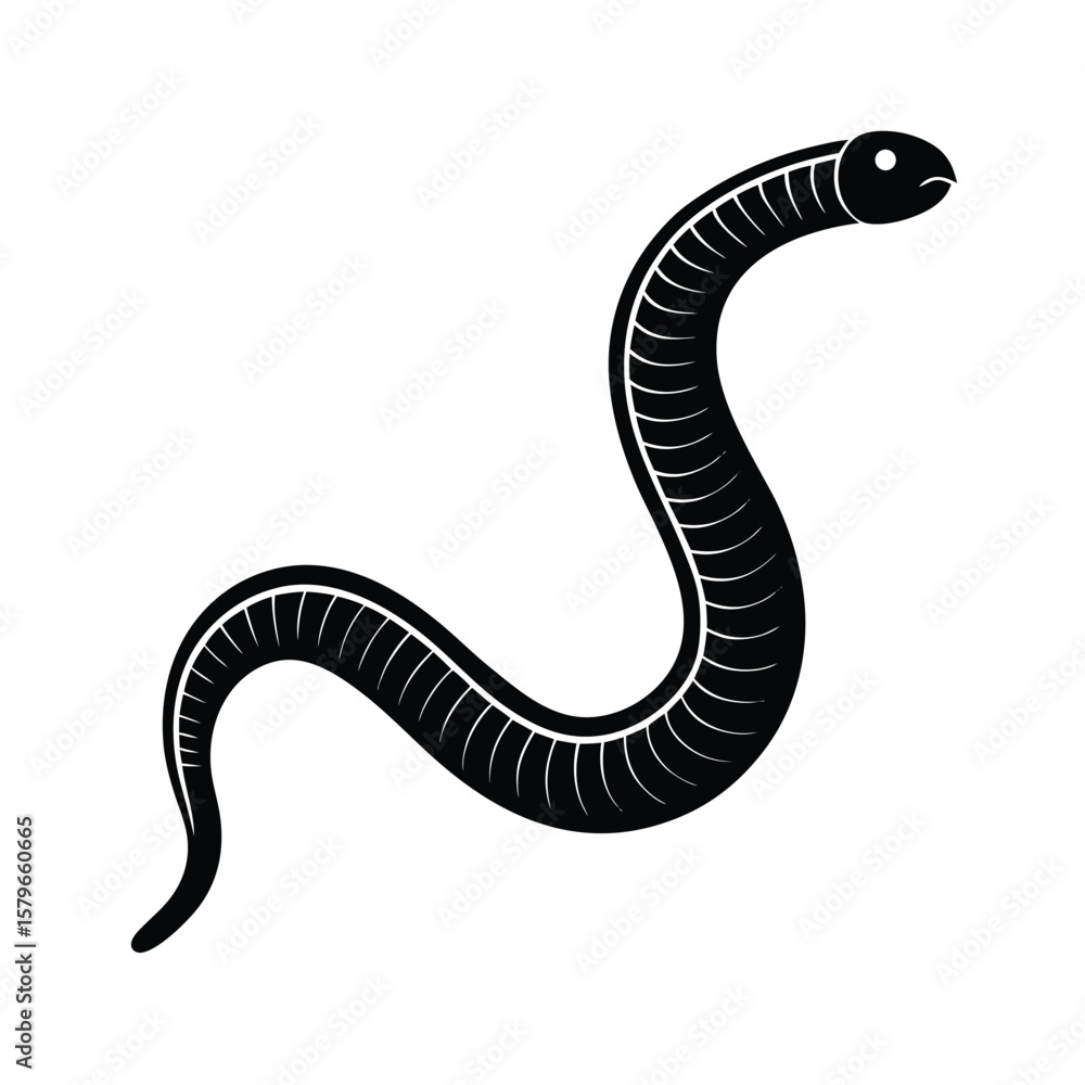 Fototapeta premium earthworm on white background