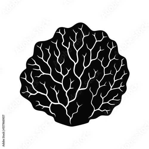 vector illustration of a coral rock