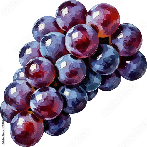 A Bunch of Concord Grapes with oil painting