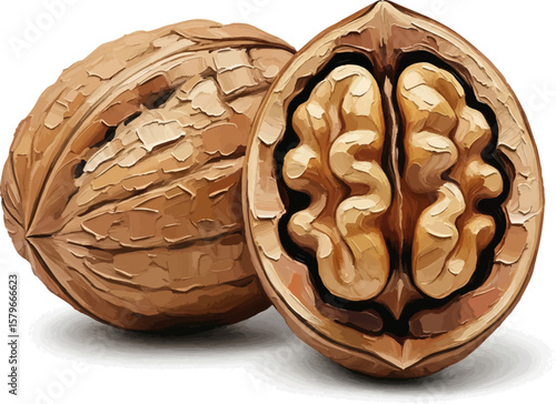 Walnut and Kernel with oil painting