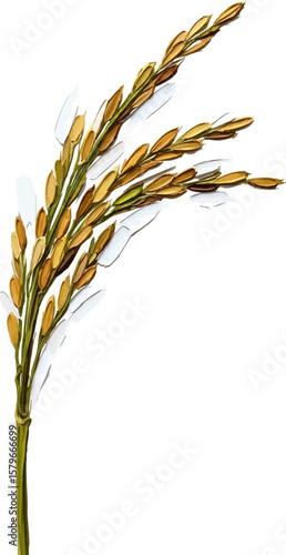 A Stalk of Wild Rice with oil painting