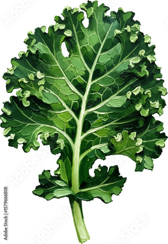 A Kale Leaf with oil painting