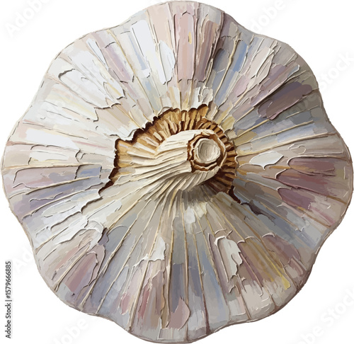 A Garlic Bulb Top View with oil painting