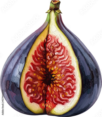 A Split Fig with oil painting