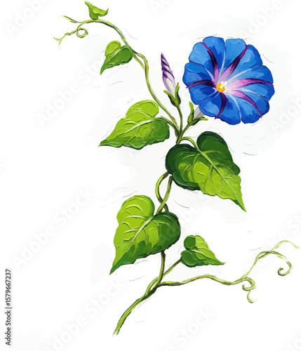 A Blue Morning Glory with oil painting