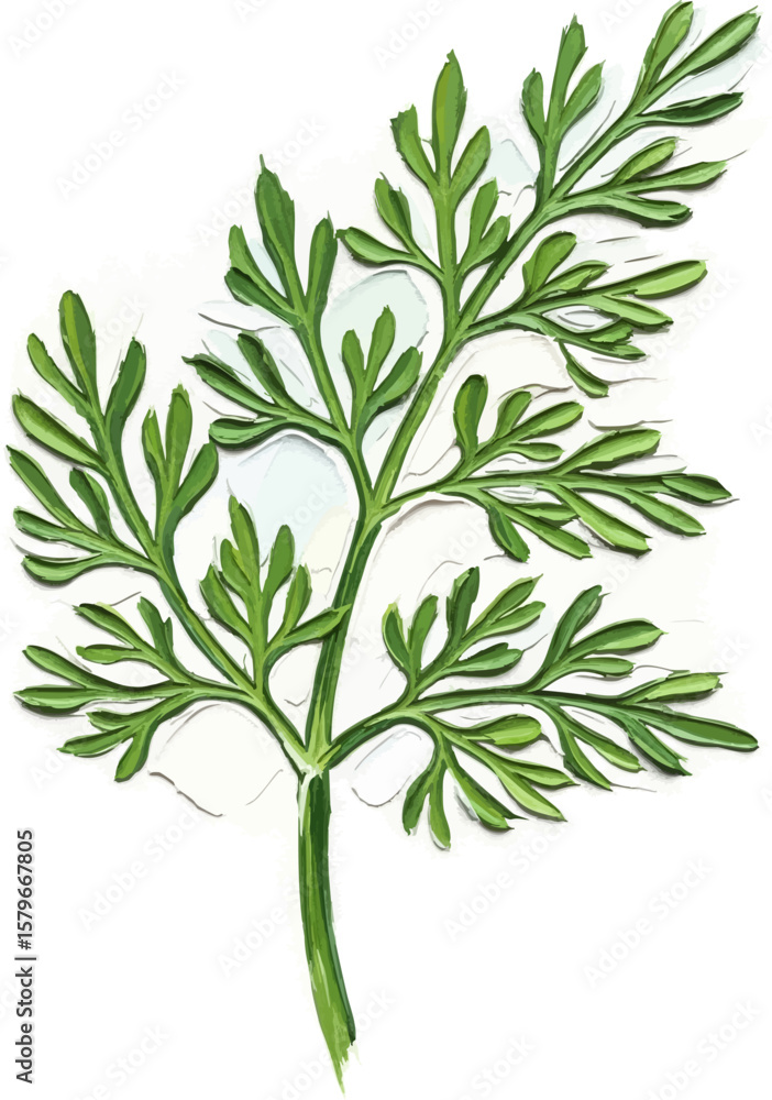 Fototapeta premium A Sprig of Dill with oil painting