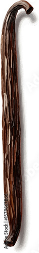 A Single Vanilla Bean with oil painting