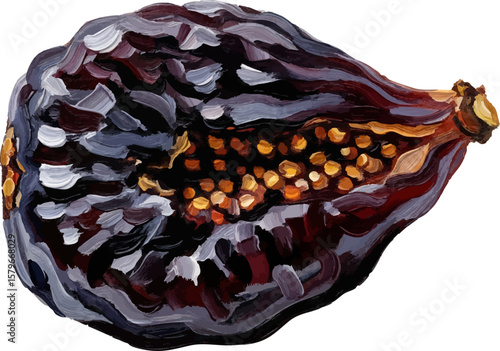 A Single Dried Fig with oil painting