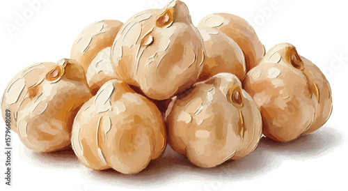 A Handful of Cooked Chickpeas with oil painting