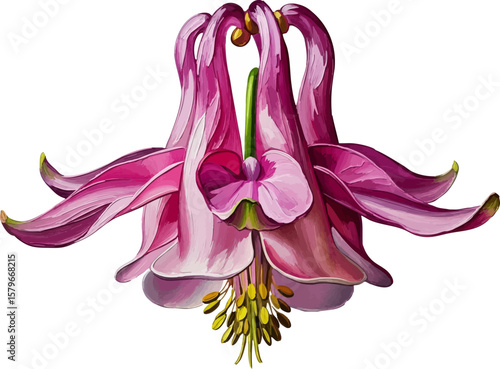 A Pink Columbine Flower with oil painting