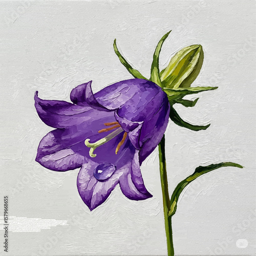 Canterbury Bell with Dew with oil painting