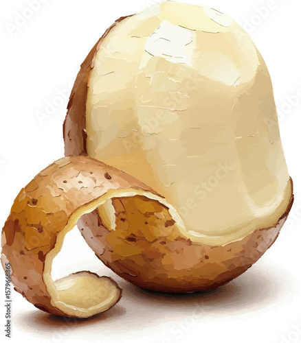 A Peeling Potato with oil painting