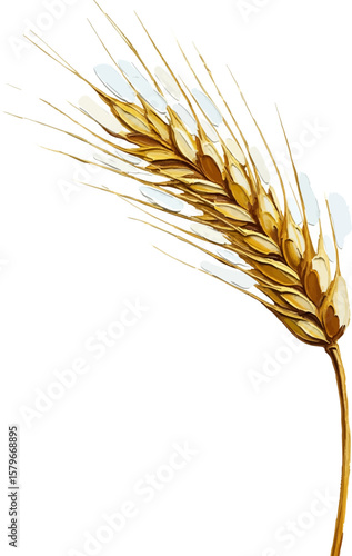 Bending Ear of Wheat with oil painting
