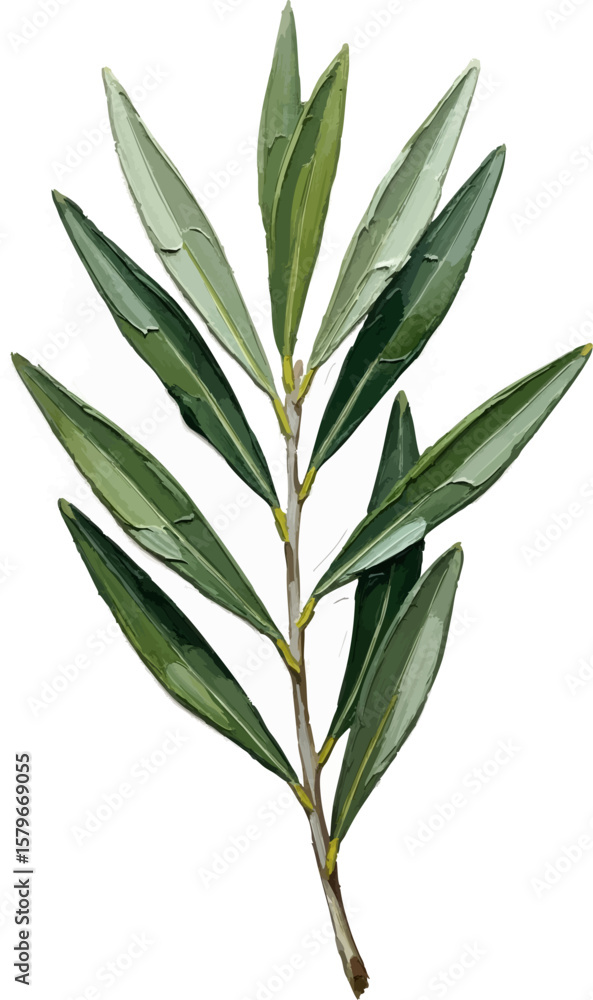 Fototapeta premium A Branch of Olive Leaves with oil painting