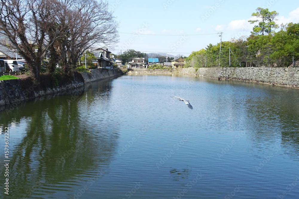 Fototapeta premium 日本：岡山城跡／目安橋から見る鷺が飛ぶ堀【烏城公園】岡山県岡山市