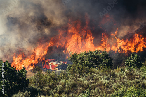 Forest fire rages through dry brush as firefighters work to contain the blaze in a wooded area during the peak of summer
