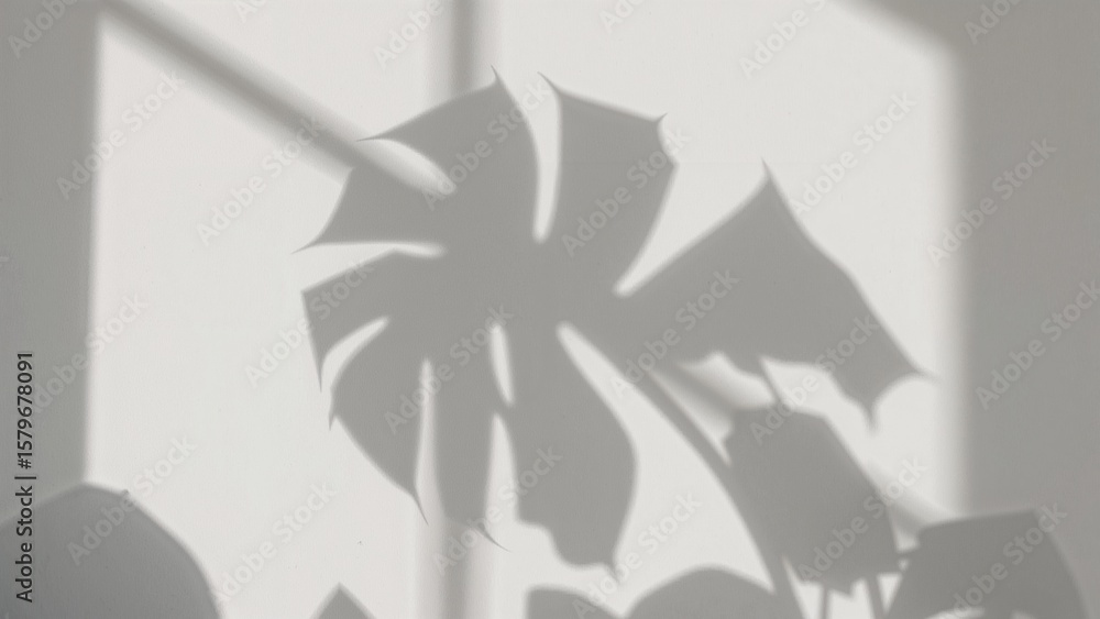 Fototapeta premium Monstera Leaf Shadow Art Minimalist Home Decor Impression with Natural Light