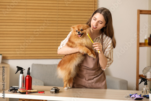 Female groomer brushing tee...