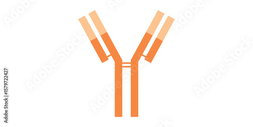 Antibody Structure Symbol. Vector Illustration
