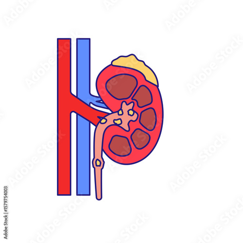 chronic kidney disease