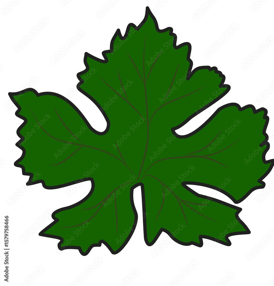 Naklejka premium green oak leaf