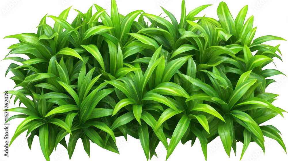 Fototapeta premium Vibrant Green Leaves On Transparent Background