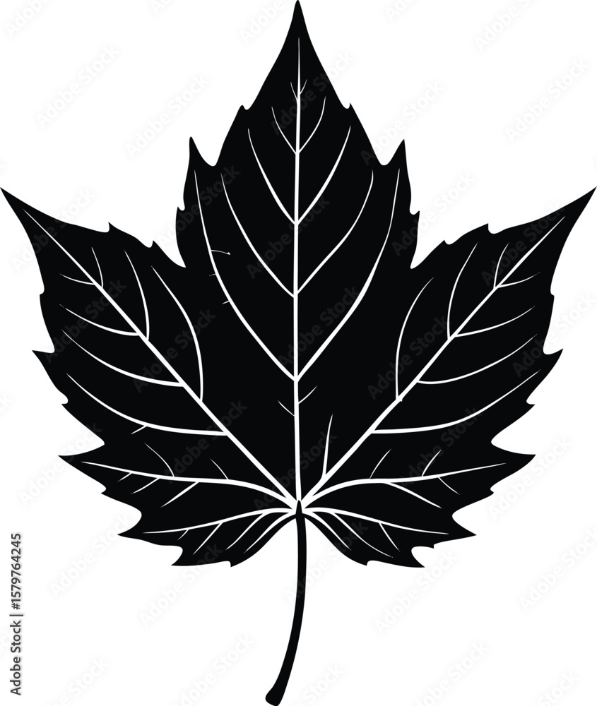 Fototapeta premium You might also like these vectors 