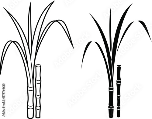 Two stylized sugarcane stalks with leaves in black and white line art and solid silhouette