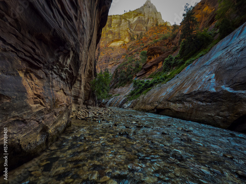 The Narrows, Zion National Park, Utah