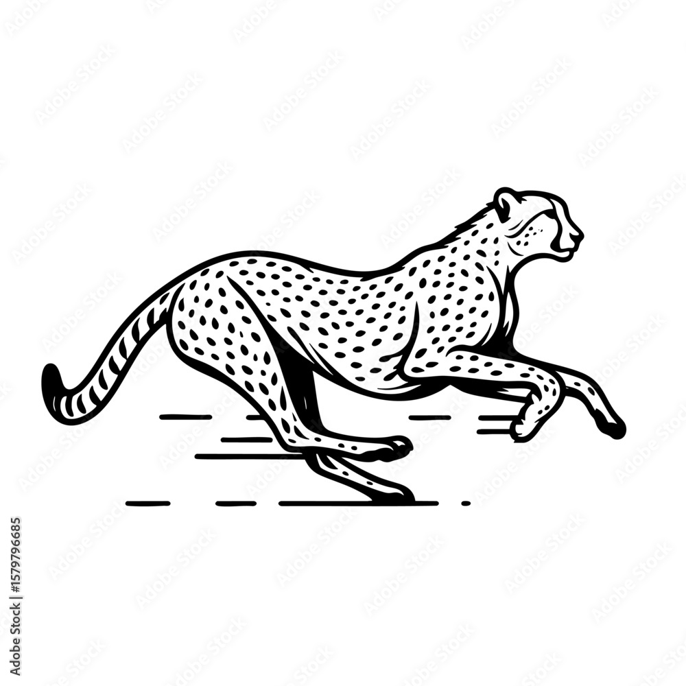 Fototapeta premium Cheetah in Motion A Black and White Vector Illustration