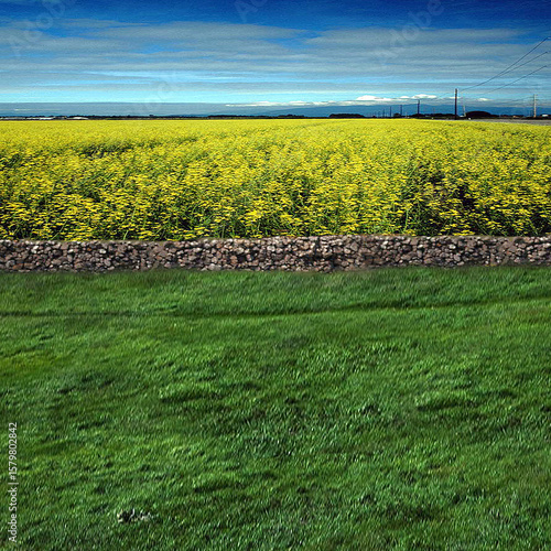 Studio background images wallpaper 7