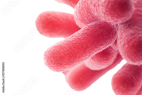 Close up of a bacterial colony under a microscope.