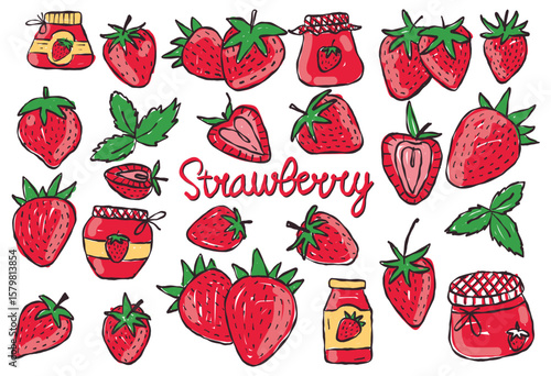Hand Drawn Strawberry Illustration Set