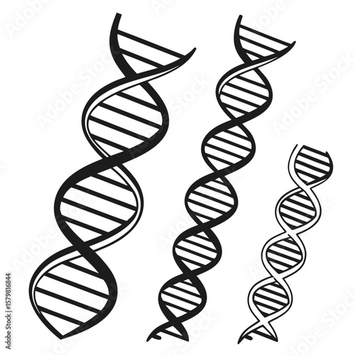 Black D N A double helix silhouettes on white background science biology