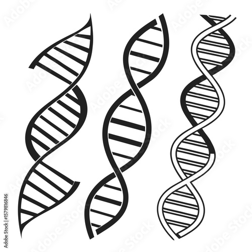 Black D N A Double Helix Silhouettes science biology