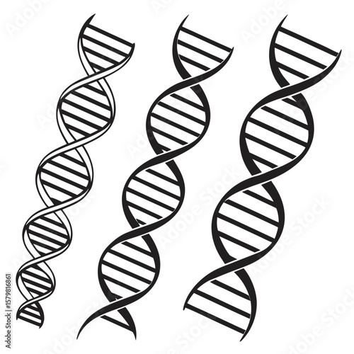 Black D N A Double Helix Structures biology genetics