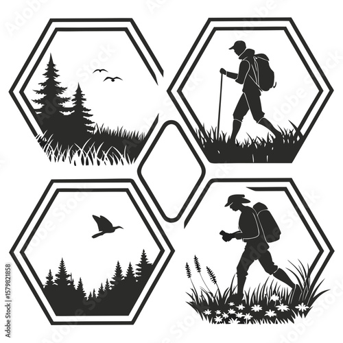 Hikers and forest scenes within hexagonal frames hiking trekking