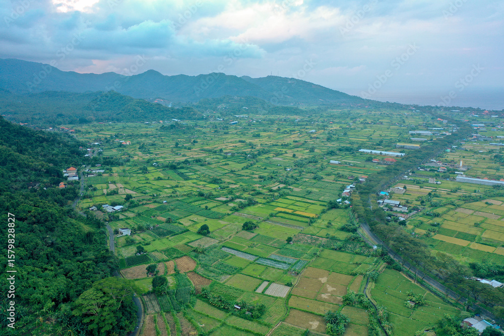 Fototapeta premium Scenic View of Rice Fields and Forested Mountain Slopes in Bali