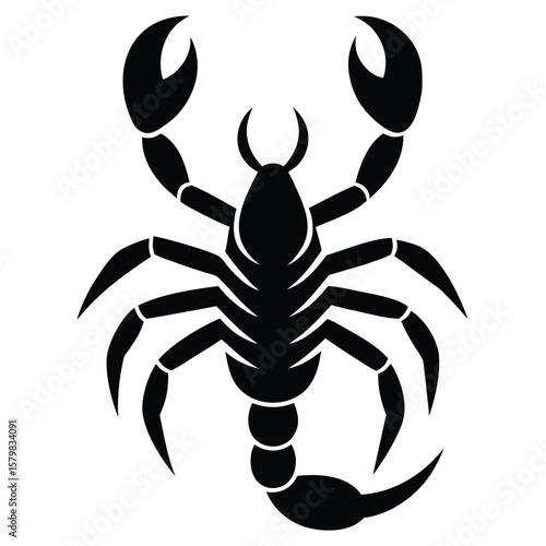 Silhouette of a Black Scorpion with Pincers Displayed Upwards on White Backdrop