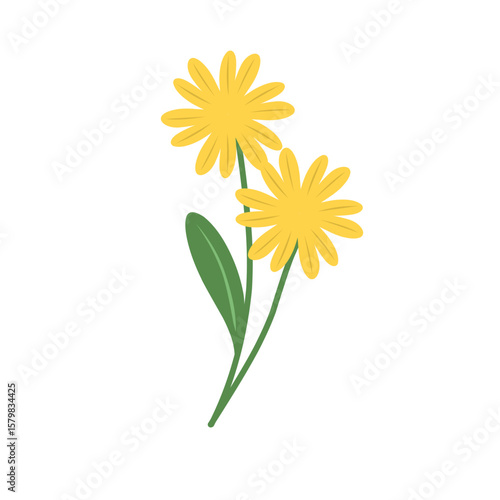 Simple flower illustration. Hand-drawn flower illustration. Flower illustration. Flat design colored flower illustration