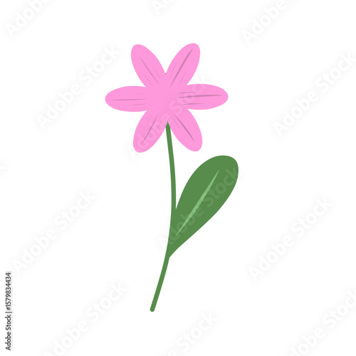 Simple flower illustration. Hand-drawn flower illustration. Flower illustration. Flat design colored flower illustration