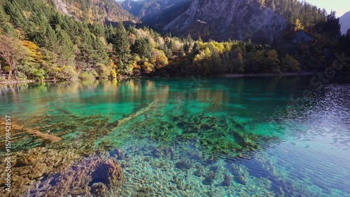 Autumn landscape in beautiful colorful nature scenic view at five flower lake in jiuzhaigou national park