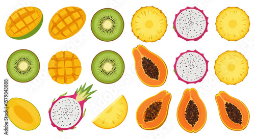 Top-Down Flat Lay of Diverse Food Ingredients