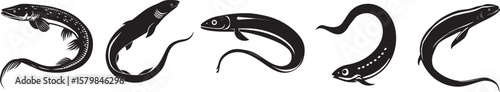 Collection of black and white illustration of a ell with a long tail and a small head, swimming in a calm water body.