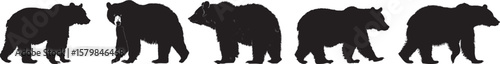 A black bear standing in a white background.