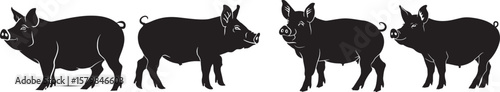 A black and white silhouette of a pig standing on a white background.