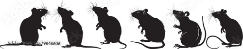 A black silhouette of a rat against a white background.